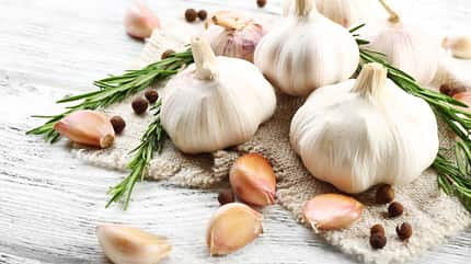 Knoblauch schmeckt intensiv und verleiht vielen Gerichten einen aromatischen Geschmack Knoblauch schmeckt intensiv und verleiht vielen Gerichten einen aromatischen Geschmack