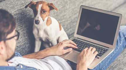 Home-Office Sich im Home-Office zu konzentrieren fällt manchmal schwer
