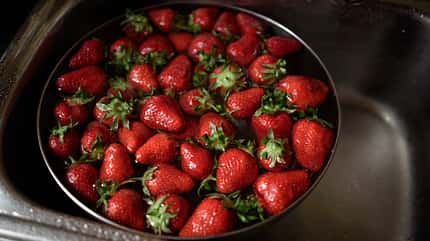 Beeren solltest du in einem Wasserbad waschen Beeren solltest du in einem Wasserbad waschen