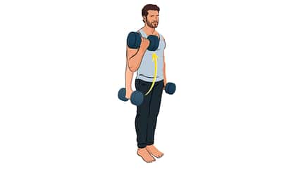 Kurzhantel-Curls Kurzhantel-Curls