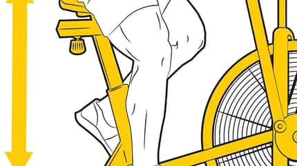 Zuerst wird die Sattelhöhe beim Air-Bike eingestellt Zuerst wird die Sattelhöhe beim Air-Bike eingestellt