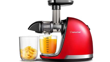 Mit einem Slow Juicer bereitest du dir deinen eigenen frischen Saft zu