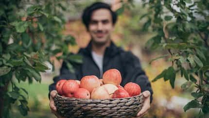 herzgesunde Ernährung