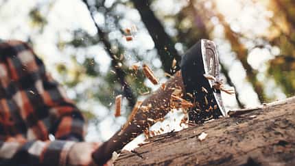 Bäume fällen mit der Axt - Holz machen - Timbersports 