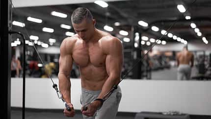 Brust Workout