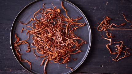 Vitalpilz Cordyceps auf einem schwarzen Teller