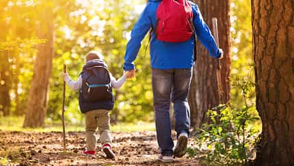 Vater und Sohn gehen durch den Wald