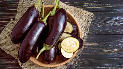 Aubergine