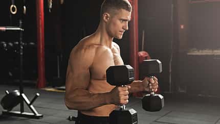 Hammercurls - Übung 