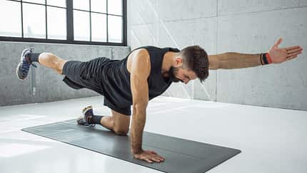 Bird Dog richtig machen