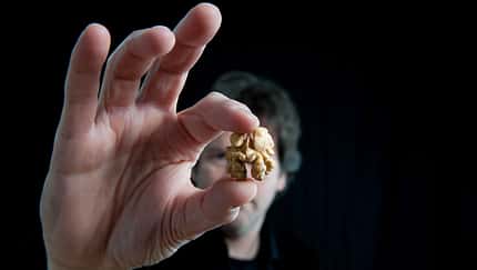 Walnüsse statt Snacks: Warum Nüsse dein Herz smarter schützen