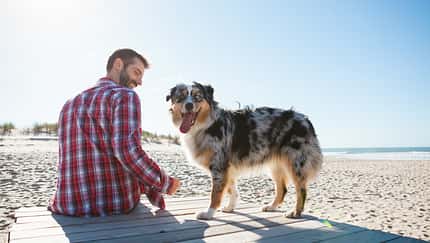 Gesunder Alltag mit Hund