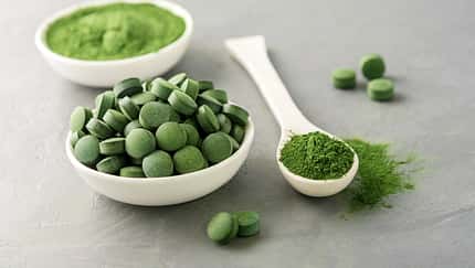 Chlorophyllpräparate Chlorophyllpräparate