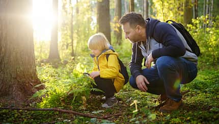 Vater und Sohn sind im Wald auf Entdeckungstour Vater und Sohn sind im Wald auf Entdeckungstour