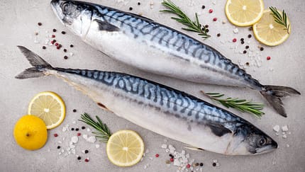 Die Omega-3-haltigsten Fischsorten
