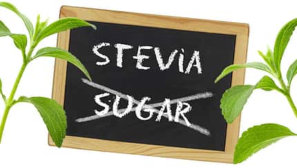 Stevia-Produkte im Geschmackstest