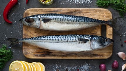 Gesunde Fette: Omega-3-Fettsäuren