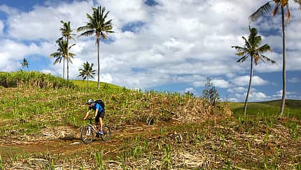 Mountainbiking auf Mauritius:  Holperpfade durch die Zuckerrohrfelder