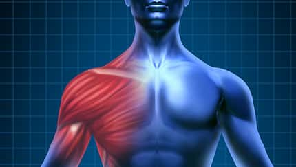 Schulterschmerzen durch Brusttraining? Schulterschmerzen durch Brusttraining?