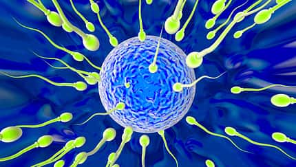 Sperma gerinnt nach dem Samenerguss