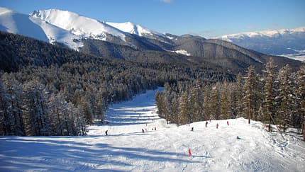 Ski in Bansko