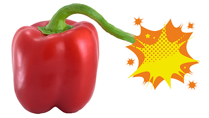 Paprika sind wahre Nährstoffbomben