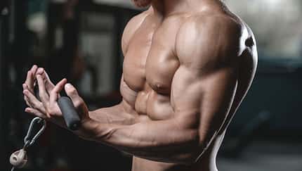Wie Sie mit Weight Gainern sichtbar an Muskelmasse zulegen