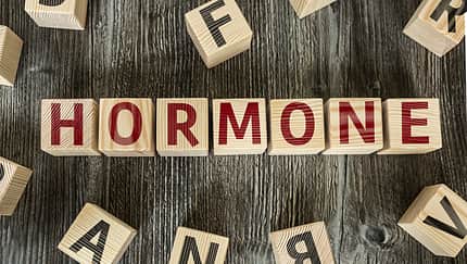 Hormone: Die Botschafter unseres Körpers