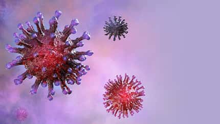 Coronavirus Das Coronavirus hat eine zackenförmige Oberfläche, die an eine Krone erinnert.