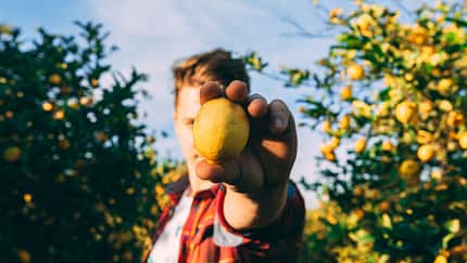 Zitronen enthalten viel Vitamin C und stärken somit dein Immunsystem