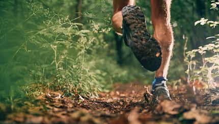 Wegen der Zeckengefahr sollte man im Wald nicht mit freien Beinen laufen