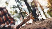 Bäume fällen mit der Axt - Holz machen - Timbersports 