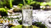 Glas vor Waldhintergrund, in das Wasser eingeschenkt wird