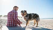 Gesunder Alltag mit Hund