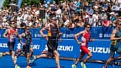 Der SUZUKI World Triathlon Hamburg