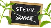 Stevia-Produkte im Geschmackstest