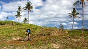 Mountainbiking auf Mauritius:  Holperpfade durch die Zuckerrohrfelder