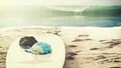 Trendsport Surfen Trendsport Surfen