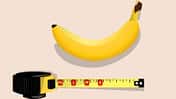 14,5 cm misst der Penis eines Deutschen im Durchschnitt (im erigierten Zustand)