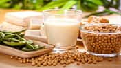 Sojaprodukte sind rein pflanzlich und Bestandteil der vegane Küche