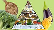 Die VEBU Eenährungspyramide hilft beim Einstieg in ein vegetarisch-veganes-Leben