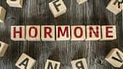 Hormone: Die Botschafter unseres Körpers