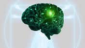 US_0400_brain_800x462_neu.jpg