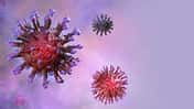 Das Coronavirus hat eine zackenförmige Oberfläche, die an eine Krone erinnert.
