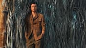 Fieldjackets Sommer 2020 Massimo Dutti