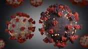 3-D-Darstellung einer Corona-Virus-Mutation