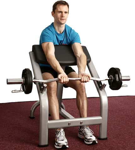Scott-Curls mit SZ-Stange Scott-Curls mit SZ-Stange