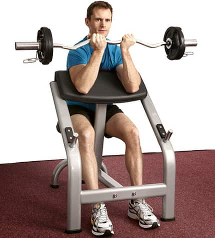 Scott-Curls mit SZ-Stange Scott-Curls mit SZ-Stange