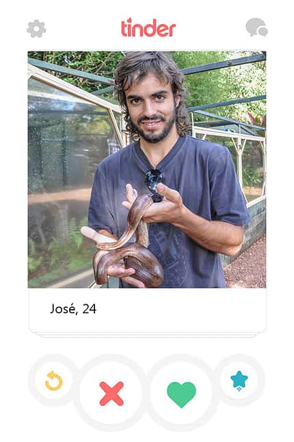 Tinder-Typologie Tinder-Typologie