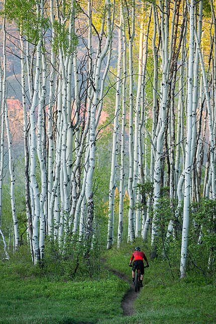 Im Snowmass Bike Park geht es mit dem Mountainbike mitten durch die Espen Im Snowmass Bike Park geht es mit dem Mountainbike mitten durch die Espen